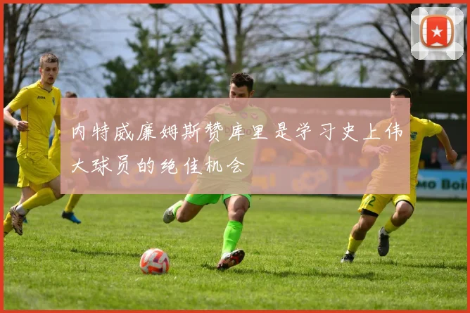内特威廉姆斯赞库里是学习史上伟大球员的绝佳机会